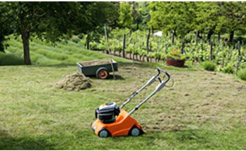 foto de escarificador stihl